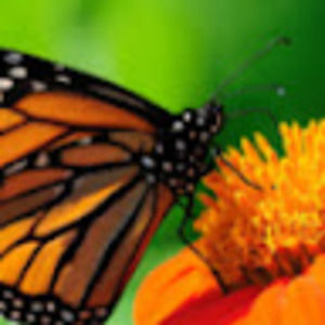 Meet your Posher, Geena